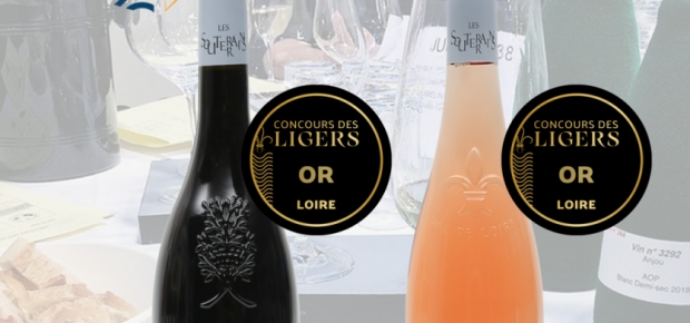 MEDAILLES D'OR 